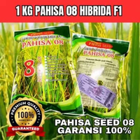 BENIH PADI HIBRIDA PAHISA 08 ORIGINAL 1KG