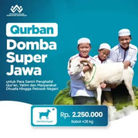 Qurban Domba Super bobot ± 26 kg