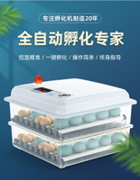 孵蛋器孵化箱小型家用型雞蛋鸚鵡迷你全自動智能小雞蘆丁雞孵化器110V