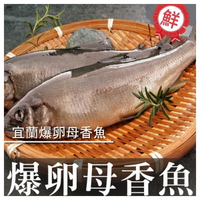 【億品館】宜蘭爆卵母香魚/盒