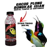 BOOSTER MASTER BIRD untuk kolibri ninja konin sogon pleci ci super gacor dextro 87 nextro gledek nek