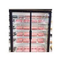 Commercial Upright Supermarket Glass Door Food Beverage Display Cooler Chiller Cabinet Freezer