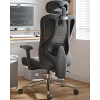 Hbada Office Chair with 2D Adjustable Lumbar Support, Ergonomic Office Chair with Adjustable Headrest and Armrest, 145° Stepless