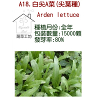 【蔬菜工坊】A18.白尖A菜種子(尖葉種)