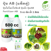ปุ๋ยAB  500 cc  (แพ็คคู่) ปุ๋ยไฮโดรโปนิกส์ ปุ๋ยน้ำ  Hydroponic fertilizer AB