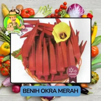 Benih Biji Bijian Sayuran Okra Hijau Okra Merah Benih Pilihan Okra Merah