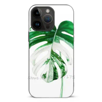 Monstera Albo Phone Cases For Iphone 14 13 12 11 Plus Pro Max Mini Xr 7 8 Soft Tpu Silicone Cover Phone Case Monstera Monstera