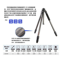 【eYe攝影】BENRO百諾 C373T 碗公型 碳纖維腳架 碗公直徑75mm 承重：25kg