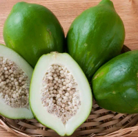 pepaya muda baik untuk kesehatan ibu hamil, maupun sayur Buah