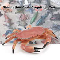Crab Cognition Education Toy Simulation Animal Model Vivid Intelligence Development Solid Aquarium Miniature for Home