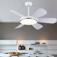 Modern ceiling fan with lights remote control 42 Inch 52 inch black fan with light ventilator lamp bedroom decor ceeling cieling