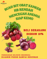Buah Bit Merah Fresh – Beetroot untuk Jus