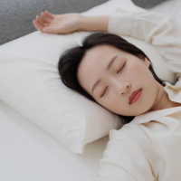 【Sonmil 森好眠】100%天然乳膠枕頭A39_日本銀纖維抗菌防臭(傳統麵包枕)
