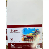 [ XẤP 10T 300GSM ] Giấy vẽ ép lạnh mỹ thuật, hội họa, kiến trúc TAKEYO ROMANCE A6-A5-A4 300GSM ( Mad