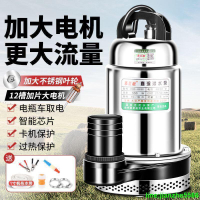【限時優惠】💥沉水泵浦】超大功率12V24V48V60V通用沉水幫浦 抽水機 抽水馬達 水龜 直流潛水泵72V農用抽水泵  ✅