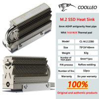 COOLLEO HR-09 M.2 2280 SSD Heatsink Fully Electroplated Reflow Welding AGHP HeatPipe 2280 NVMe SSD Cooler