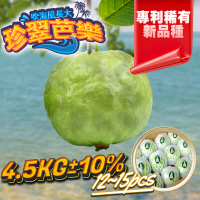 【果樹寶石】屏東海濱珍翠芭樂11-15顆/盒（5公斤±10%x2盒）(少見專利稀有新品種、夏季仍脆口)