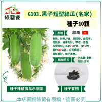 【綠藝家】G103.黑子短型絲瓜(名家)種子 10顆
