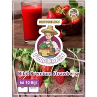 Bibit Premium Strawberry | Benih Stroberry