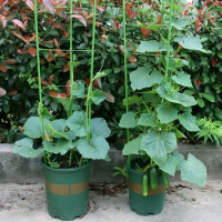 New Climbing Plant Trellis Pot Plants Support Frame Trellis Climbing DIY Flower Vines Stand Garden Tomato Support Cages Flowers