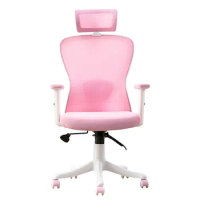 Pink Nylon Foot Ergonomic Minimalist Gaming Chair Student Bedroom Sofa Swivel Mesh Breathable Boss Office Lift Armchair Cadeira