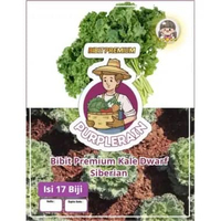 Bibit Premium Kale Dwarf Siberian Cocok Untuk Keripik Kale|Biji Benih Kale Dwarf Siberian