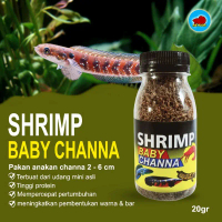 pakan burayak channa udang mini pakan anakan Channa srimp baby channa