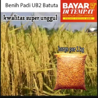 PROMO BENIH/BIBIT PADI  UB2 BATUTA Kualitas supper unggul kemasan 2kg anggur