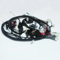 Full Wiring Harness Loom Ignition Coil CDI D8EA For 150cc 200cc 250cc 300cc Zongshen Lifan ATV Quad Buggy Electric Start Engine