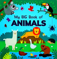 LOOK AND LEARN FIRST WORDS
