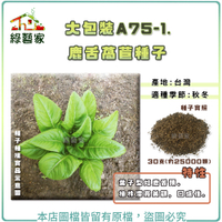 【綠藝家】大包裝A75-1.鹿舌萵苣種子30克(約25000顆)