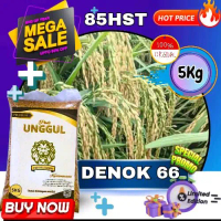 benih padi  Denok , benih padi berkualitas super mantap