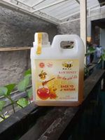 madu murni durian[ madu ternak lebah apis melifera] madu caca netto 1 kg
