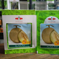 Benih Melon Unggul Cap Panah Merah ALINA F1 Kemasan 40 Butir