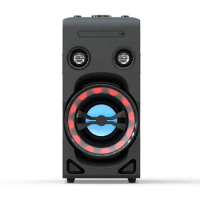 1000w Karaoke Tower Speaker with Dvd Player Pa Speaker System