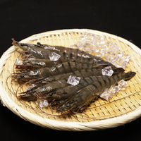 【咖吃凍】黑鑽虎蝦8P(400g/盒) 馬來西亞 海水粗放生長 新鮮活凍