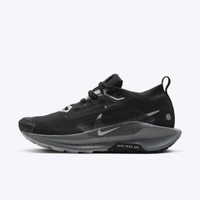 Nike W Pegasus Trail 5 GTX [FQ0912-001] 女 慢跑鞋 越野 防水 反光 緩震 黑灰