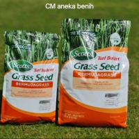 1 kg benih biji rumput jepang, bermuda grass, grass seed, rumput lapangan golf,sepakbola