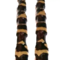Joran Reflika Cendani Bambu Tua Full Fiber Outdoor untuk Pancingan Luar Ruangan aksesoris mancing