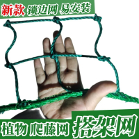 2米 3米寬園藝植物爬藤網瓜網苦瓜絲瓜黃瓜豆角葡萄百香果藤蔓攀爬網搭架網 加粗爬藤網 瓜果種植網 防護網