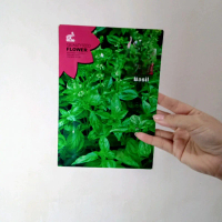 BENIH BASIL SUPER HIJAU