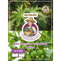 Bibit Premium Daun Jarak Herbal| Biji Benih Tanaman Daun Jarak Herbal