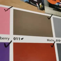 No Drop 1KG Cat Pelapis Anti Bocor Berbagai Warna 1Kg 011 Mocha