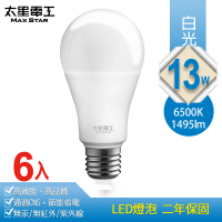 【太星電工】13W超節能LED燈泡/白光(6入)