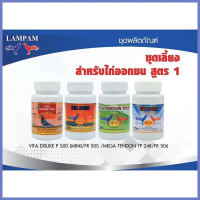 ชุดเลี้ยงออกชนลำปำ ชนบ่อนใหญ่ บ่อนมาตราฐาน ไดสึเกะ P500 FR505 FR506 Mega tendon คําแนะนําการขายที่ร้