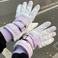 手套女冬季加絨加厚保暖防寒防風防水可觸屏摩托車騎行滑雪手套