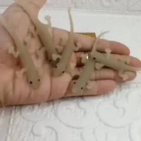 mainan cicak karet mirp asli