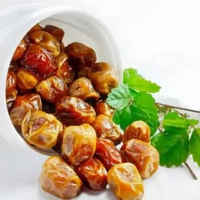 Kurma Sukari 850gr Kurma Sukari Ember Al Qassim Kurma Raja