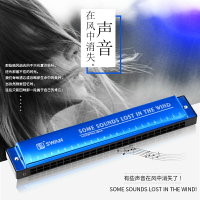 口琴 德國音簧24孔復音口琴初學成人兒童學生課堂教學演奏口琴【MJ9402】