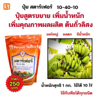 ปลูกกล้วย ผลดก ผลใหญ่ รสชาติดี มีน้ำหนัก และมีคุณภาพ ด้วยปุ๋ยสตาร์เฟอร์ 15-5-30+สารจับใบFK